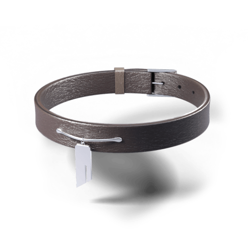 Graphics Item